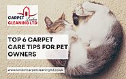 Top 6 Carpet Care Tips For Pet Owners | London