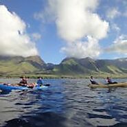 Whale Watching and Snorkeling in Maui | Maui Adventure Tours