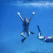 Get the Unique and Amazing Experience of Maui Ocean Adventures
