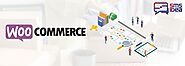 Enhance Your Woo Commerce Store with Our SMS & WhatsApp Plugin!