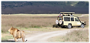 Travel around every part of Tanzania to see the natural sights