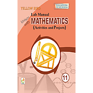 Buy Maths Lab Manual Class 11 | Yellow Bird Publications