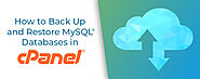 How to Back Up and Restore MySQL® Databases in cPanel | cPanel Blog