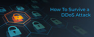How To Survive a DDoS Attack | cPanel Blog