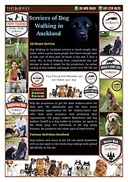 The Best Dog Walking Services in Auckland