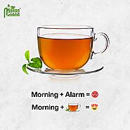Embrace the Love of Morning Tea - mohanfarm