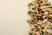 Legalization of Mushrooms: What is Colorado's Proposition 122? - Law Offices of Clifton Black