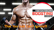 Optimize Your Performance via Premium Testosterone Boosting for Men