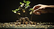 Save N Grow — Your Trusted Mutual Fund Advisor and Consultant