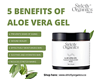 Benefits of Aloe Vera Gel