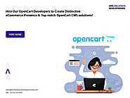 Hire Dedicated OpenCart Developers