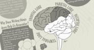 How Does the Act of Writing Affect Your Brain? - Visual News