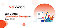 Best Content Optimization Strategy for Your SEO - NetWorld
