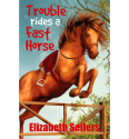 Trouble Rides a Fast Horse (Paperback)