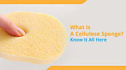 What Is A Cellulose Sponge? Know It All Here - Sponge Center