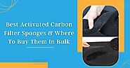 Best Activated Carbon Filter Sponges & Where To Buy Them In Bulk