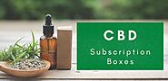Here’s Why Gen Z Is Going Crazy For CBD Subscription Boxes!