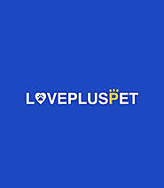 LOVEPLUSPET - The best dog brace and wheelchair on the market
