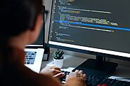 Mastering Freelance Success: Top Programming Languages for 2023's Thriving Tech Freelancers - Beardy Nerd