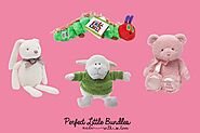 Why Soft Toys Are Essential for Baby Development | Perfect Little Bundles