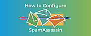 Spam Filtering on cPanel: Everything You Need To Know About SpamAssassin | cPanel Blog