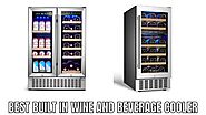 Top 10 Best Built In Wine And Beverage Cooler Reviews in 2023