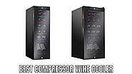 Website at https://alfredospizzaonline.com/best-compressor-wine-cooler/