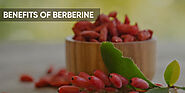 9 evidence based health benefits of berberine – Fitspire