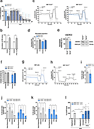 Exploiting pyocyanin to treat mitochondrial disease due to respiratory complex III dysfunction | Nature Communications