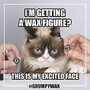 Grumpy Cat To Get Her Own Madame Tussauds Waxwork