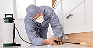 The Importance of Pest Inspection for Old Properties