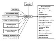 Colorful World of Microbes: Carotenoids and Their Applications