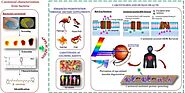 iframely: Bacteria as an alternate biofactory for carotenoid production: A review of its applications, opportunities ...