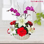 Website at https://www.theflowerspoint.com/flowers-by-type/lilies
