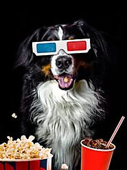 Top 10 Dog Movies of 2023 - Paws Earth