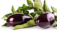 Eggplant