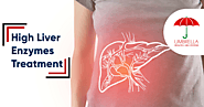 High Liver Enzymes Treatment