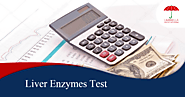 Liver Enzymes Test