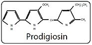 Prodigiosin and its potential applications - PMC