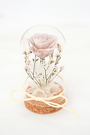 Buy Mini Preserved Floral Glass Dome |Celebloons