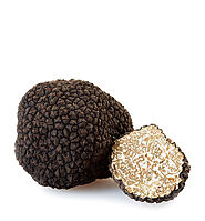 Buy | fresh Summer italian Truffles best prices | shop Tita Italian