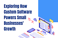 Find OUt How Custom Software Fuels Small Businesses