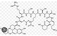 Pyoverdine functions