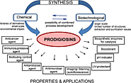 Biotechnological And Medical Uses Of Prodigiosins