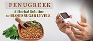 Fenugreek: Natural Aid for Blood Sugar Control – Organic Gyaan