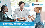 Why Ongoing Web Support And Maintenance Is Crucial For Your Website