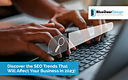 Discover 2023 SEO Trends for Your Business