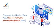 Explore about Pimcore’s Digital Asset Management (DAM) - Velox Softech Pimcore Development