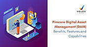 Top Benefits, Features and Capabilities of Pimcore Digital Asset Management (DAM)