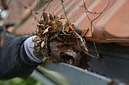 Gutter Cleaning in Teddington: Pros and Cons
